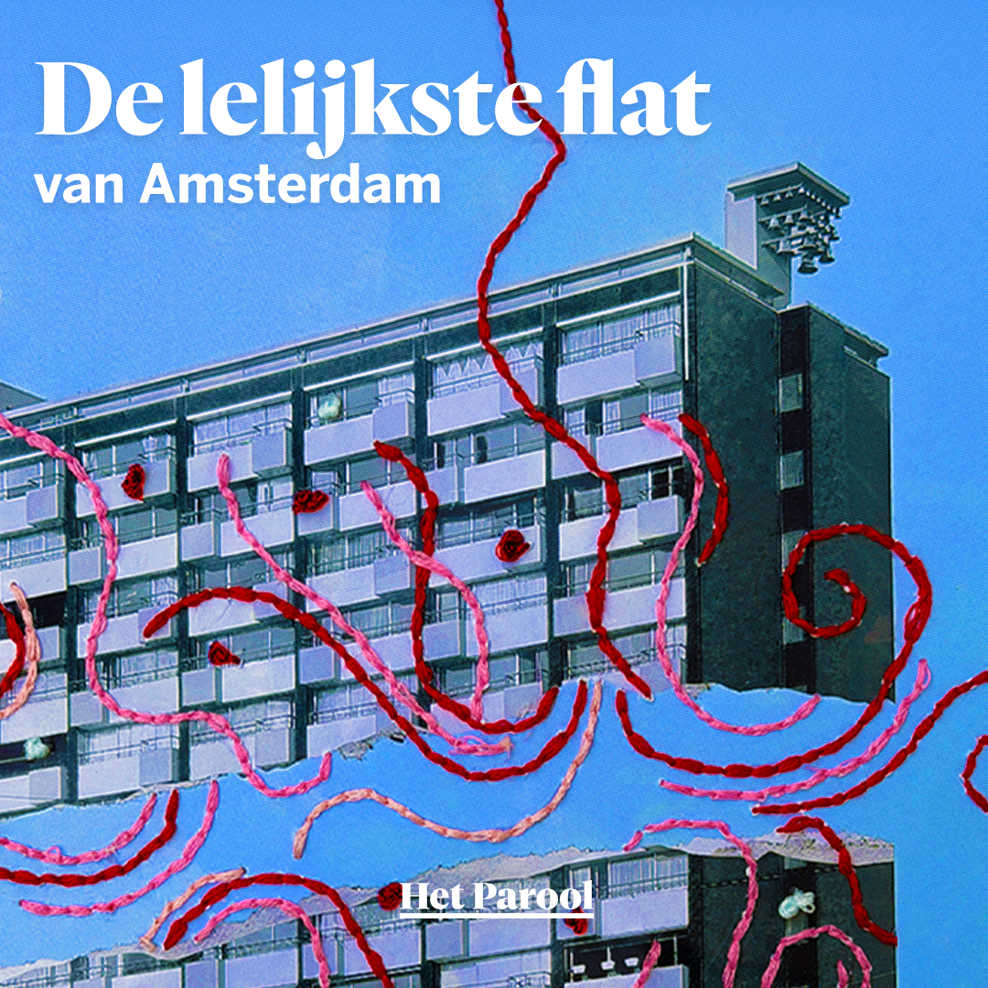 Cover van De lelijkste flat van Amsterdam